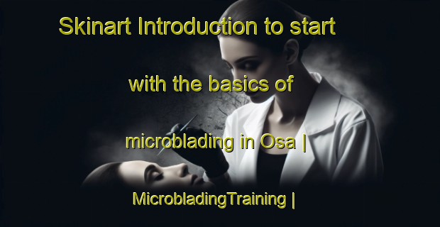 Skinart Introduction to start with the basics of microblading in Osa | MicrobladingTraining | MicrobladingClasses | SkinartTraining-Russian Federation